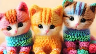 Three cute cats made of knitting